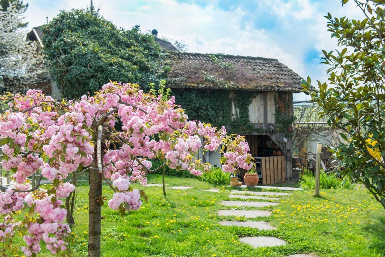 Villa Sonnenschein Terlano Dış mekan fotoğraf