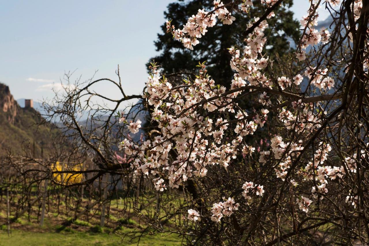Villa Sonnenschein Terlano Dış mekan fotoğraf