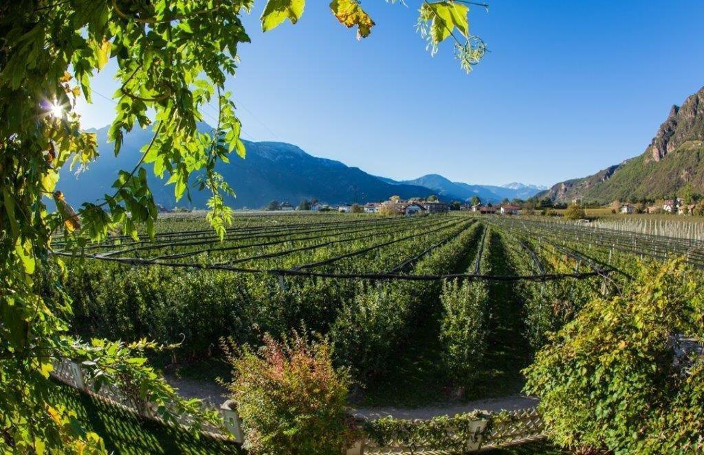 Villa Sonnenschein Terlano Dış mekan fotoğraf
